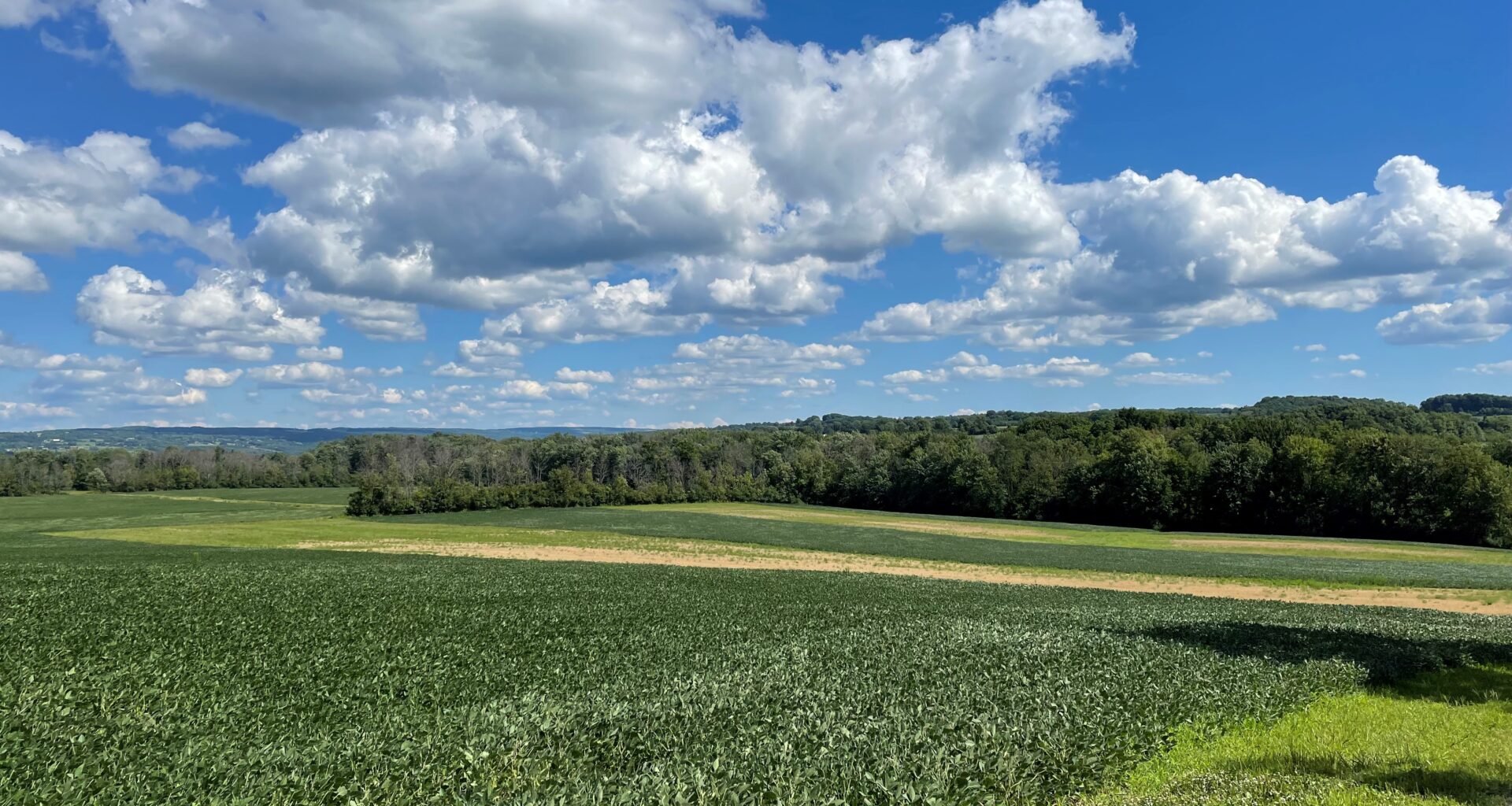 Nominations Being Accepted for 2026 AEM Leopold Conservation Award