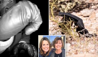 DNA results from glove found near Nancy Guthrie's home revealed
