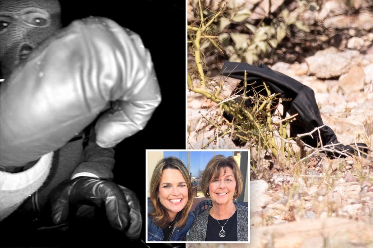 DNA results from glove found near Nancy Guthrie's home revealed