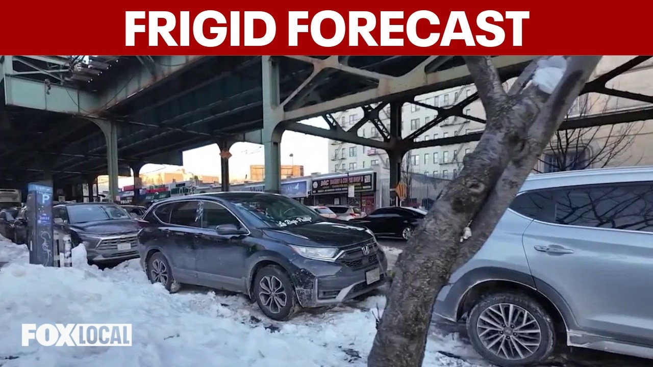 Extreme cold warning, ice rescue training and protecting your pets | Good Day Weekend