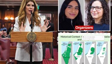 Zohran Mamdani health department 'global oppression working group' should be probed over use of taxpayer funds: NYC Council speaker