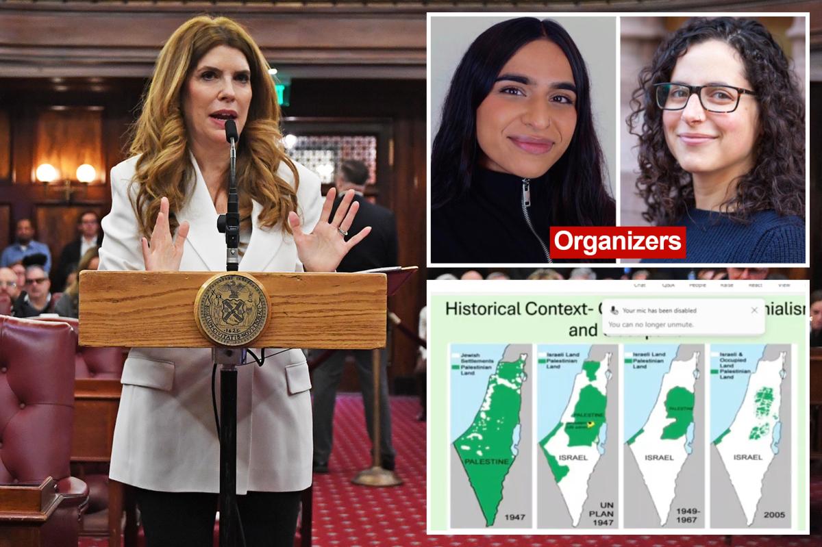 Zohran Mamdani health department 'global oppression working group' should be probed over use of taxpayer funds: NYC Council speaker
