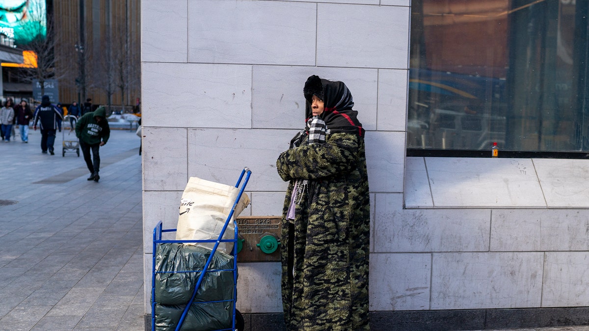 homeless woman in nyc