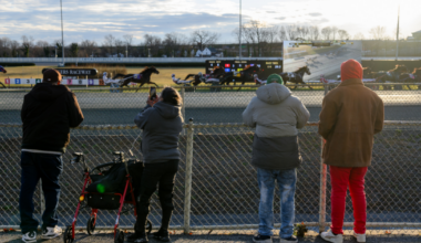 Horse Racing Investigator Resigns After New York…