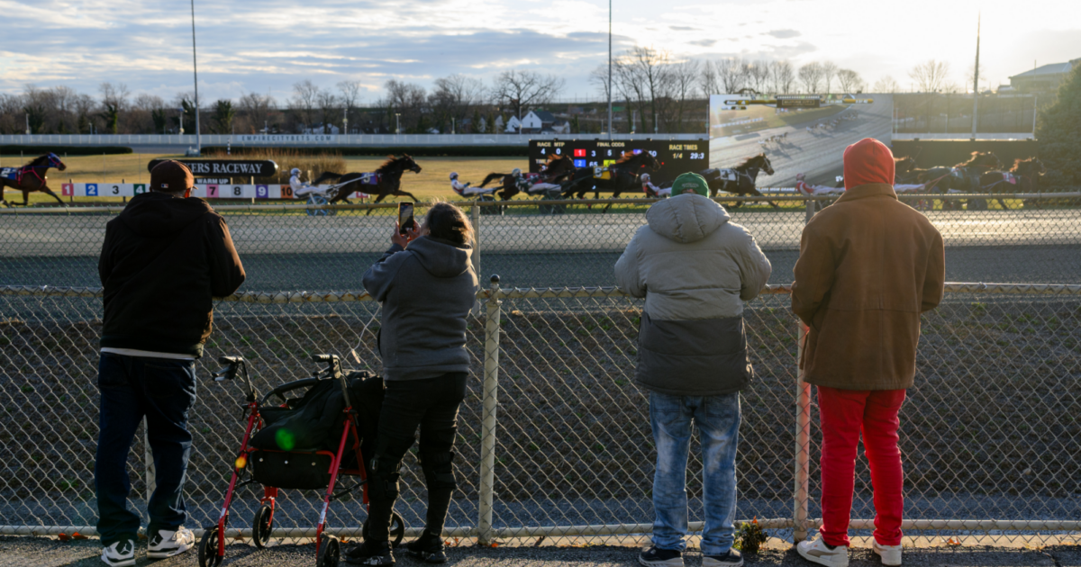 Horse Racing Investigator Resigns After New York…