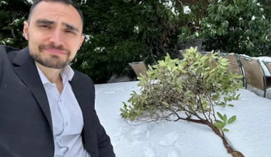 News 12 | Brooklyn | Cold & snow this winter could give us our most colorful spring in years