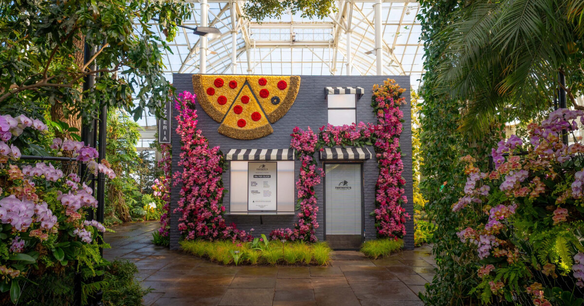 orchid landscapes bloom in exhibition of a reimagined new york city