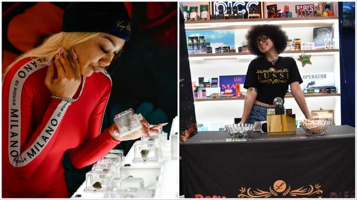 kaya bliss customers