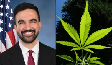 NYC Mayor Mamdani Projects Increased Marijuana Tax Revenue As New Shops Open