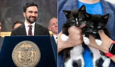 Animal welfare leaders urge Mamdani to step up for New York City’s pets • Brooklyn Paper