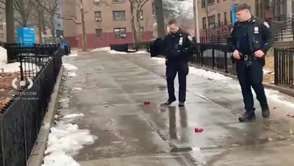 News 12 | Brooklyn | Police search for trio responsible for shooting near Marlboro Houses in Gravesend