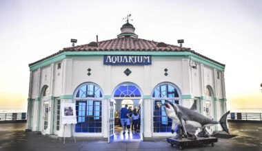 CITY COUNCIL: Roundhouse Aquarium's funding ok’d, Manhattan Beach Police Department Chief Rachel Johnson paused