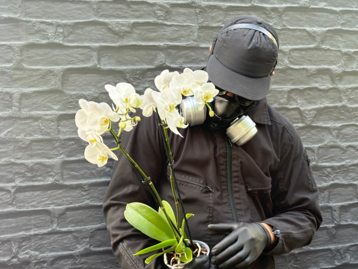 Mr. Flowers Fantastic, or MFF, in his signature gas mask and rubber gloves which he uses to protect him from his allergies to flowers at the New York Botanical Garden.