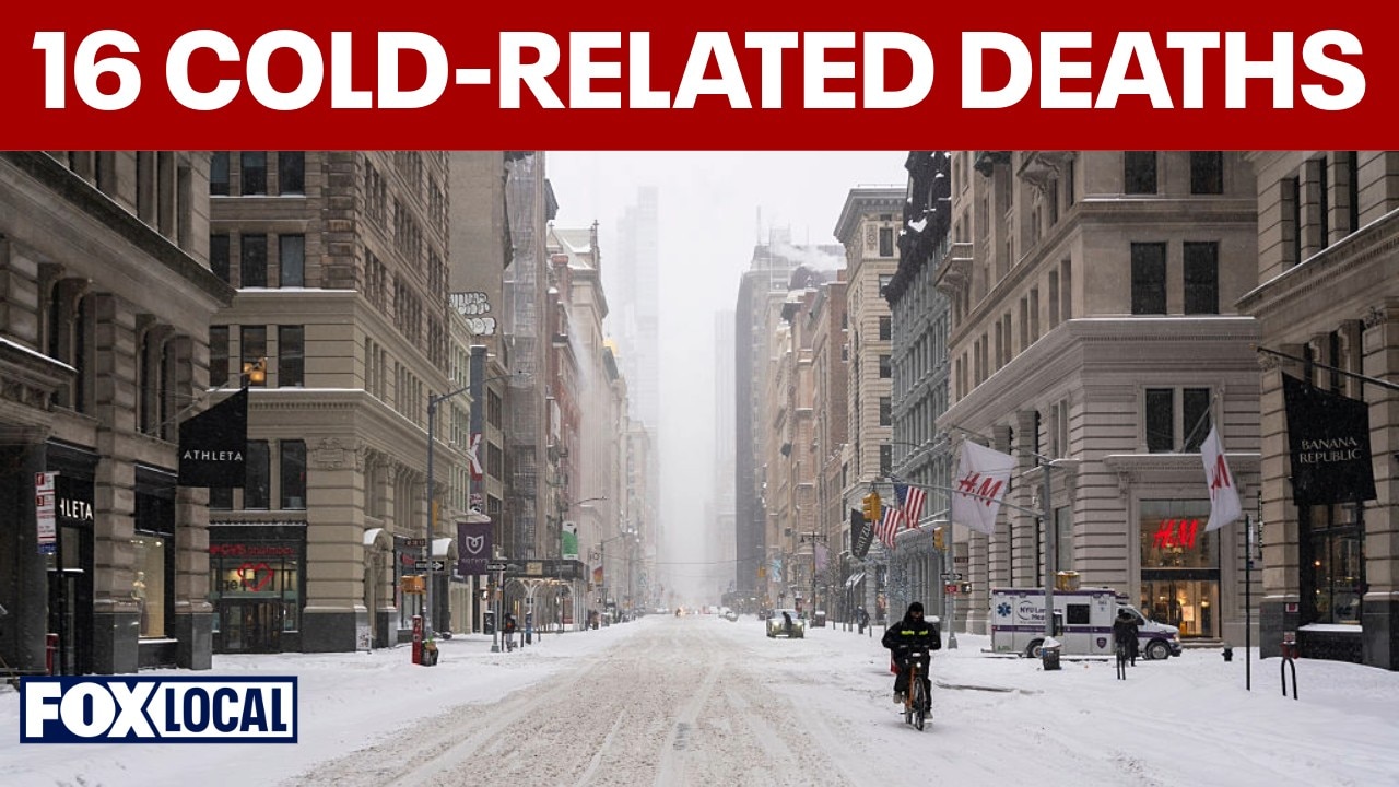16 people die from cold in New York City