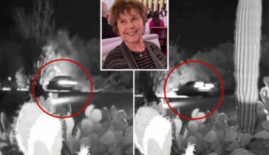 Never-before-seen video from Nancy Guthrie's neighbor captures several cars driving nearby Tucson home night of kidnapping