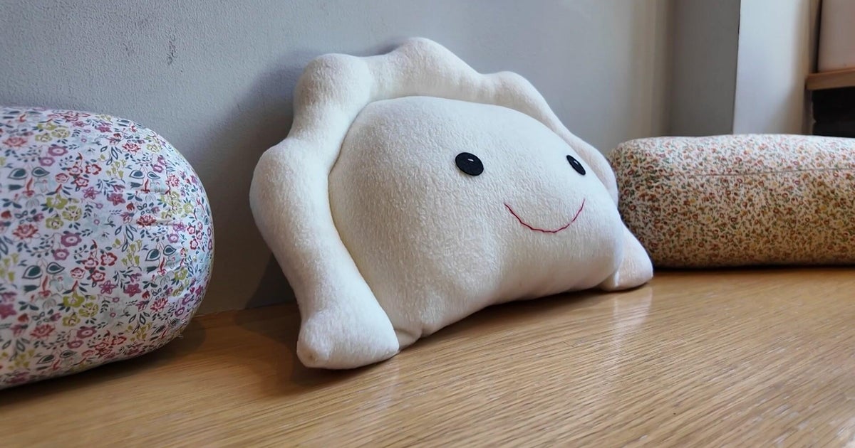 Pierogi plush pillow sold at Brooklyn restaurant coveted by many Winter Olympics fans