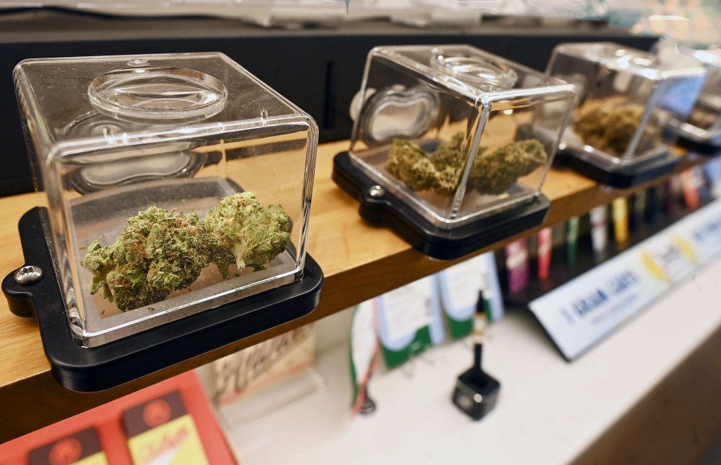 Cannabis buds displayed in clear containers with smell holes in a licensed dispensary.