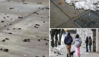NYC's most poop-filled areas revealed -- as dog waste complaints hit record highs