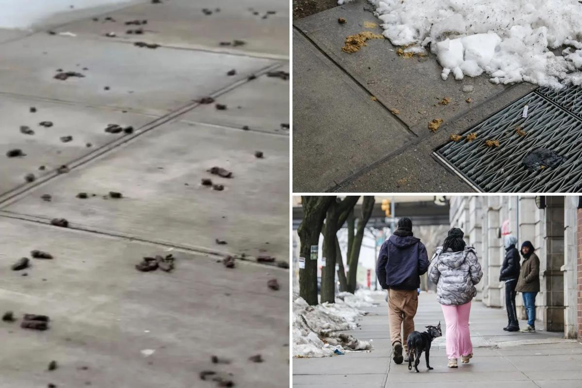 NYC's most poop-filled areas revealed -- as dog waste complaints hit record highs