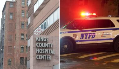 2 security guards busted for impeding NYPD cops from entering psych ward at NYC hospital: sources
