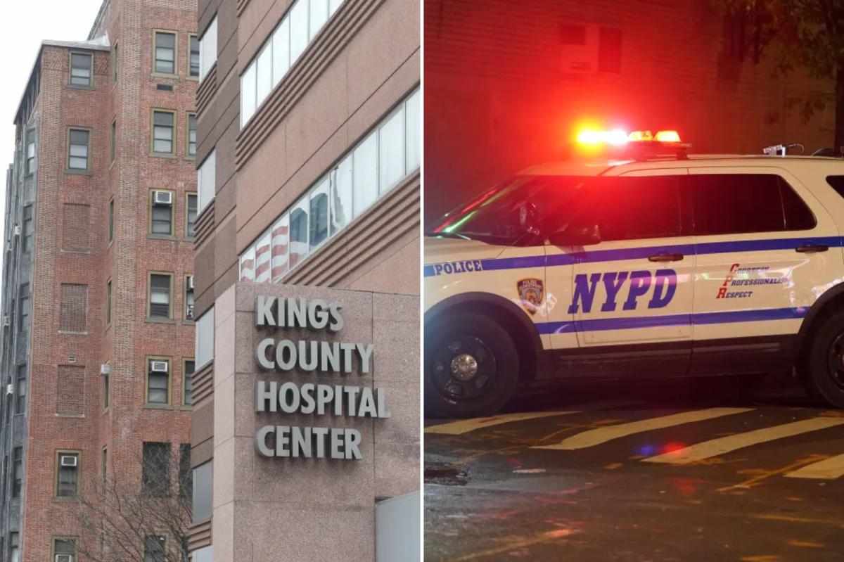 2 security guards busted for impeding NYPD cops from entering psych ward at NYC hospital: sources
