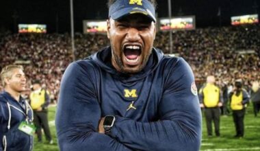 Falcons fire LaTroy Lewis hours after disturbing rape, assault allegations