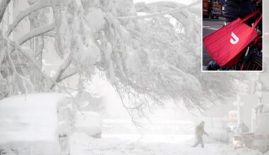 DoorDash shut-down during NYC blizzard prompts this reaction from tough NYers