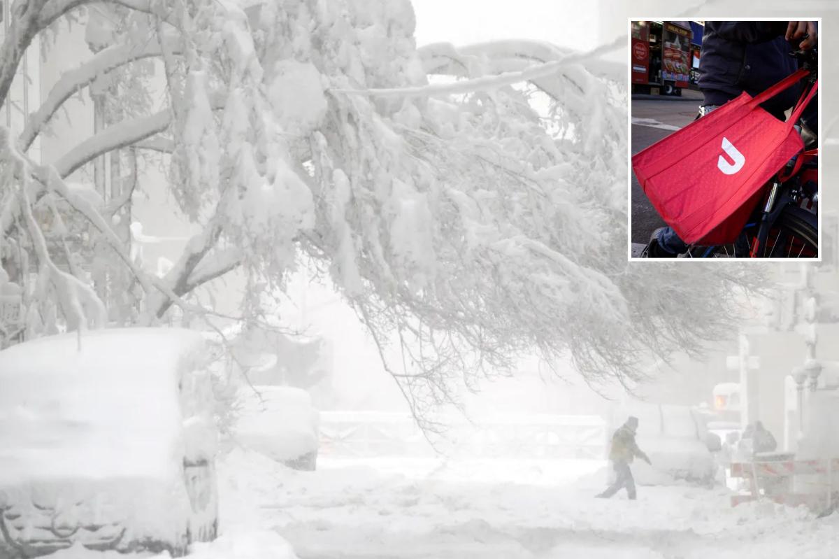 DoorDash shut-down during NYC blizzard prompts this reaction from tough NYers