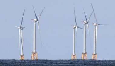 Reality is finally crashing New York's utopian green-energy party