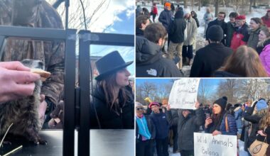 Bizarre NYC Groundhog Day event with Curtis Sliwa draws hundreds of hipsters, protesters – with a possible twist next year