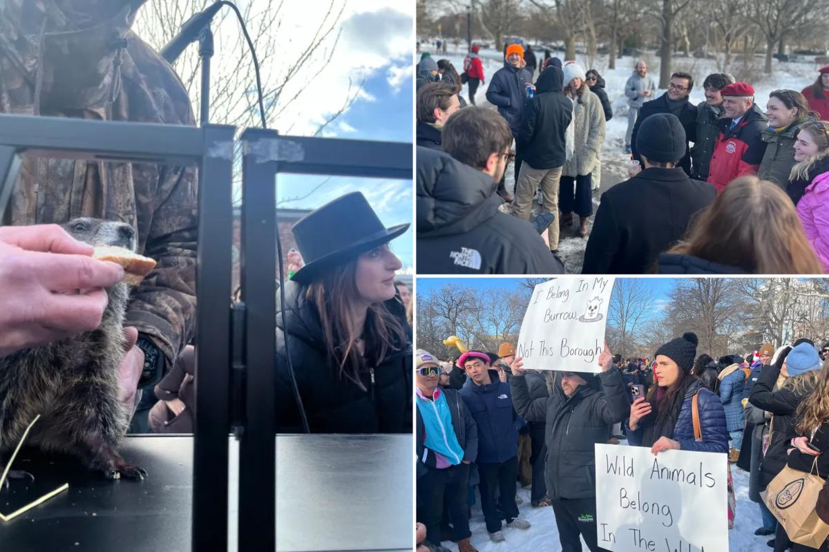 Bizarre NYC Groundhog Day event with Curtis Sliwa draws hundreds of hipsters, protesters – with a possible twist next year