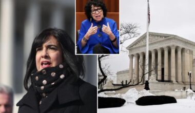 Malliotakis begs SCOTUS to stop Dems from scrapping NYC's sole GOP House seat