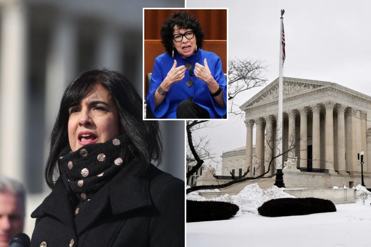 Malliotakis begs SCOTUS to stop Dems from scrapping NYC's sole GOP House seat