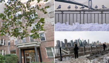 NYC man, 81, found dead on building roof during near-record-low cold snap