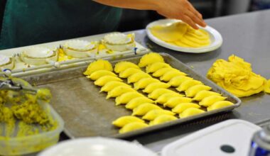 Nonprofit boosts Caribbean food startups – Caribbean Life