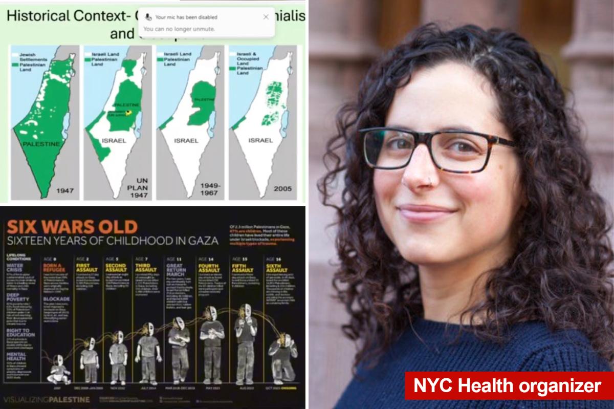 Mamdani NYC health department staffers launch 'working group' accusing Israel of genocide
