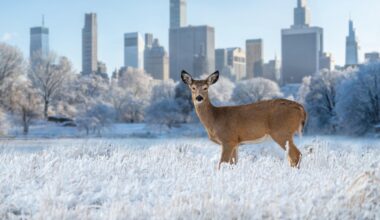 Things My Fellow New Yorkers Say When They Find Out I’m a Hunter