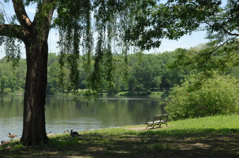 Hidden Histories: What the Slave Masters of the Bronx Left Us