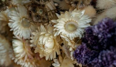 Dried white strawflower with brown dried scabious pods and purple dried statice