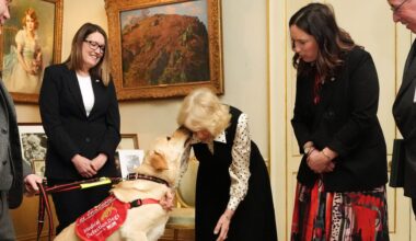 Queen Camilla's Dog Pal Works on His "Royal Etiquette"