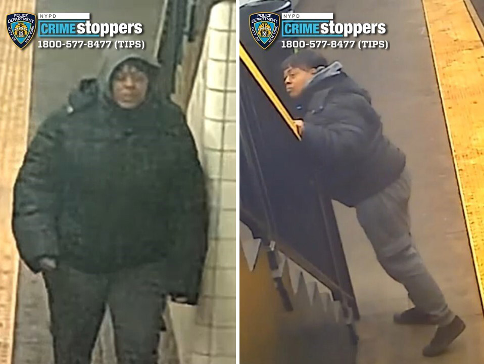 Cops release images of woman wanted for pushing subway rider onto Brooklyn tracks