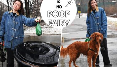 Upper West Side model crowned 'Poop Fairy' for cleaning dog crap