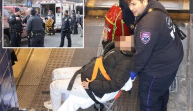 Maniac who allegedly pushed woman onto NYC subway tracks, punched straphanger, also slugged teen girl during rampage