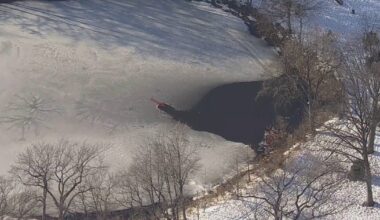 Person rescued from pond in Queens