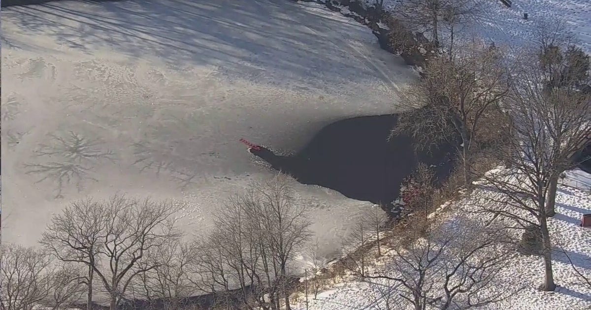Person rescued from pond in Queens
