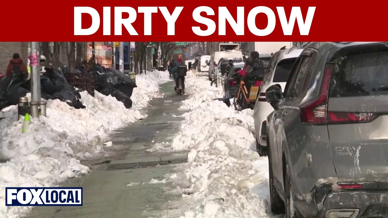 Dog owners blamed for dirty snow in NYC