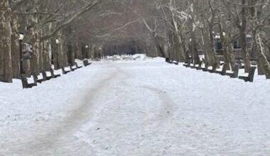 Icy Stretch Leaves Parts of Riverside Park Impassable