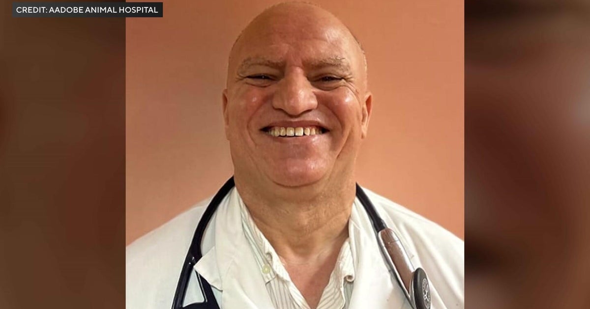 Carbon monoxide suspected of killing vet, dog in Queens animal care van