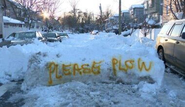 New Yorkers with disabilities, seniors say unsafe conditions after snowstorms left them isolated