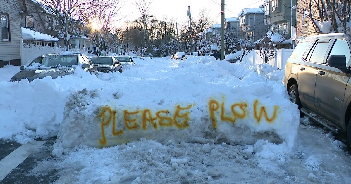 New Yorkers with disabilities, seniors say unsafe conditions after snowstorms left them isolated